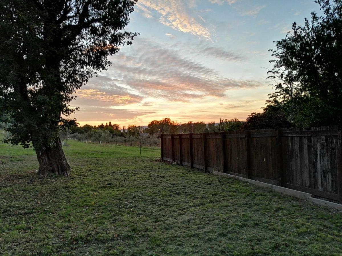 Agriturismo "La Fondazza" Villa Imola Exteriör bild